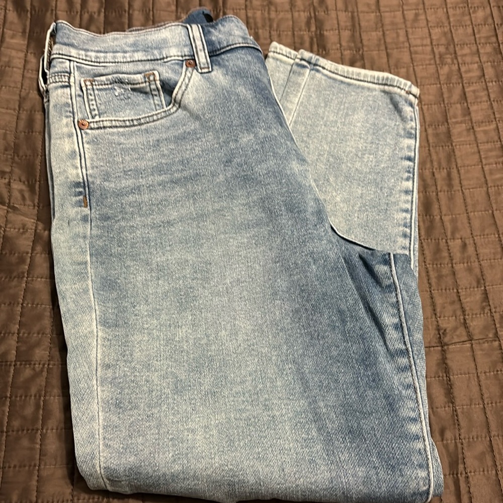 Express Distressed Ankle Jeans